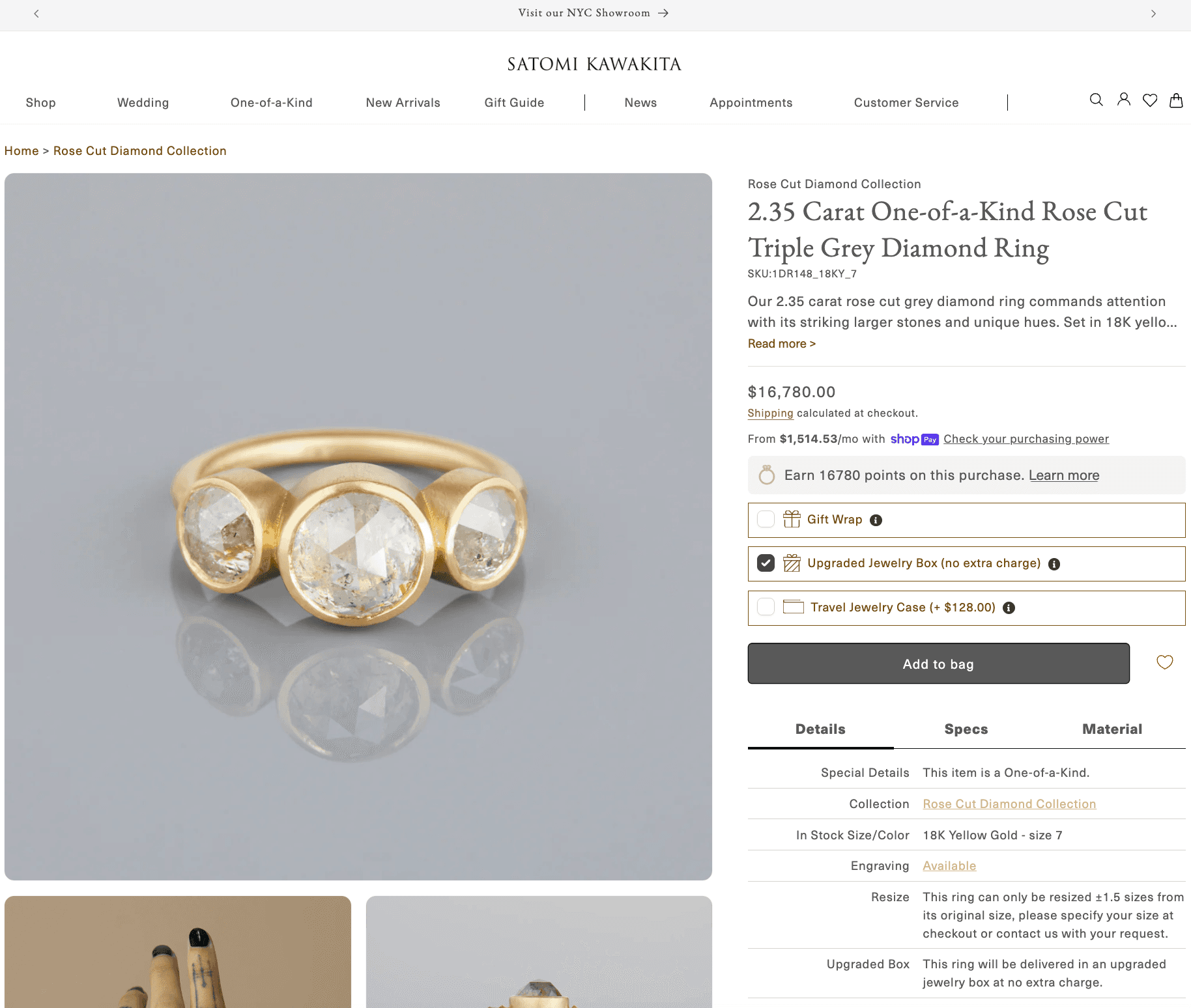 Satomi Kawakita Jewelry — Project imagery. Visual 1 of 3.